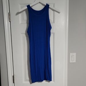 Blue Sleeveless Dress